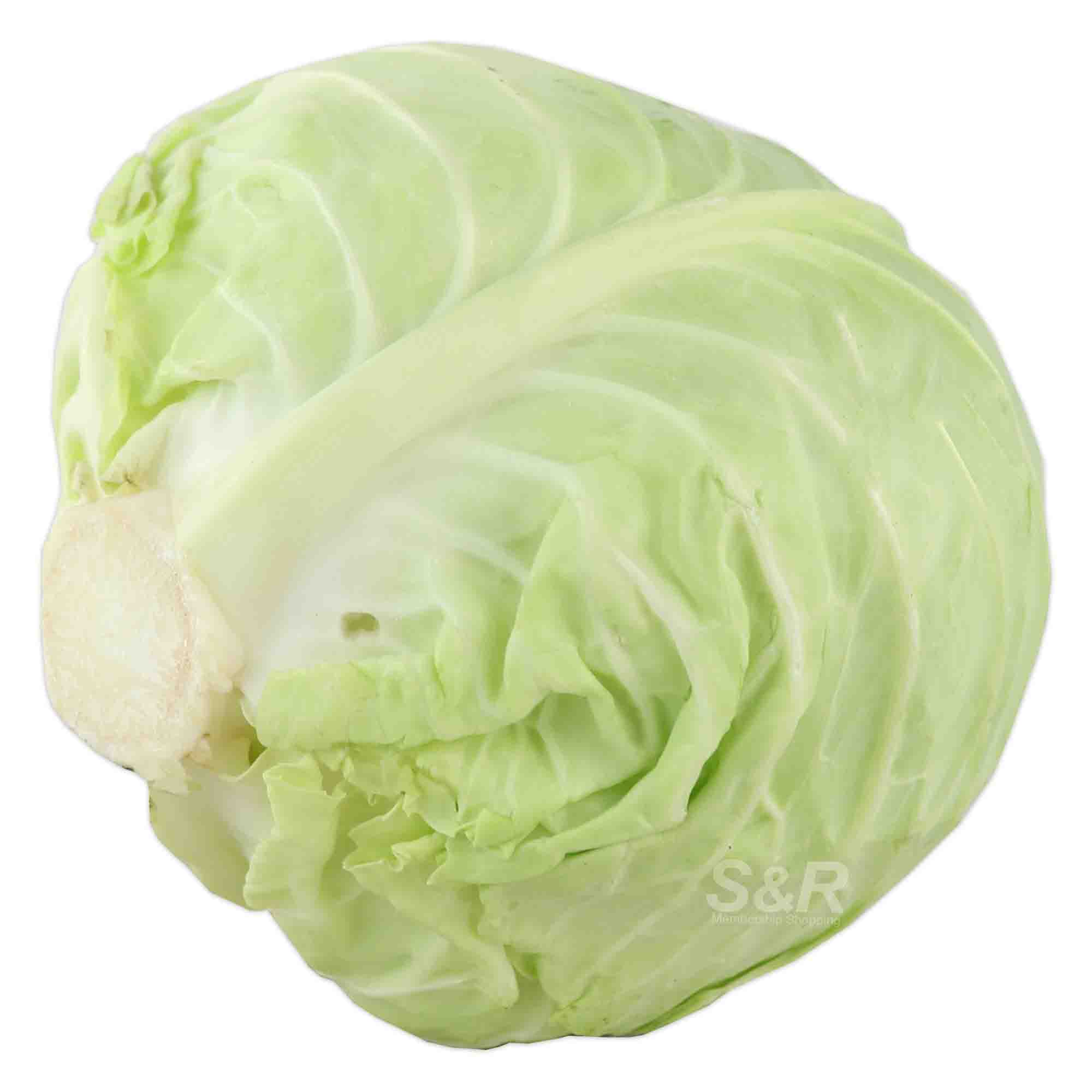 S&R Scorpio Cabbage approx. 1.3kg
